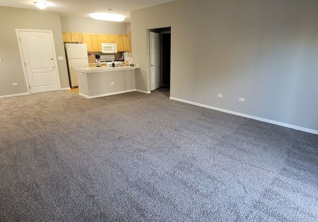 1259 W Lake Street 206, Addison, IL 60101