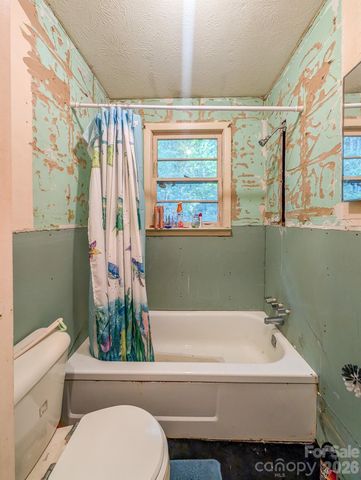 172 Lower Browns Creek Road, Burnsville, NC 28714