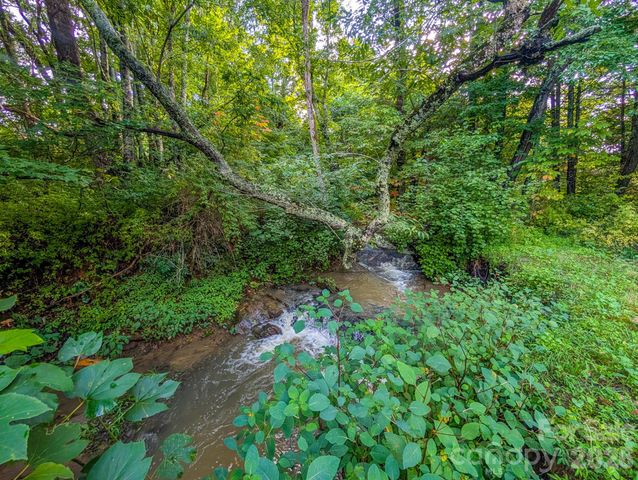 172 Lower Browns Creek Road, Burnsville, NC 28714