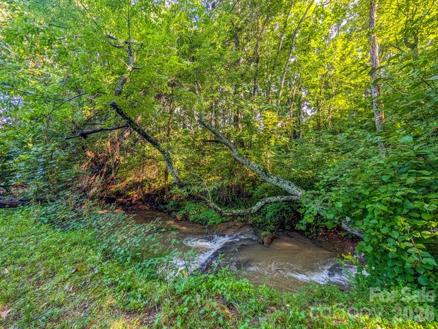 172 Lower Browns Creek Road, Burnsville, NC 28714