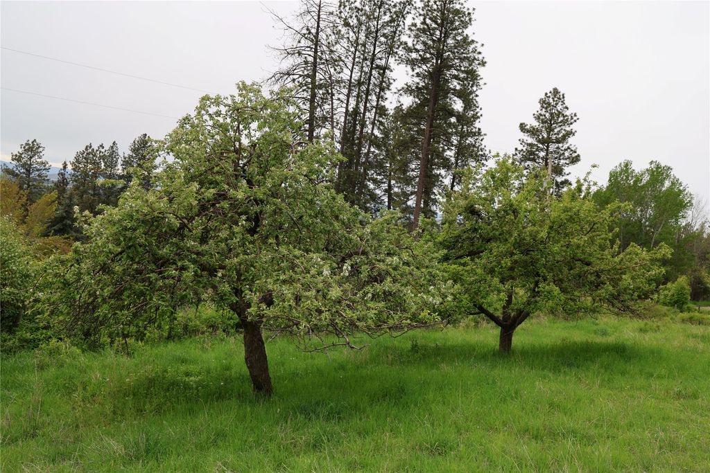 41694 Canal Road, Ronan, MT 59864 photo 15