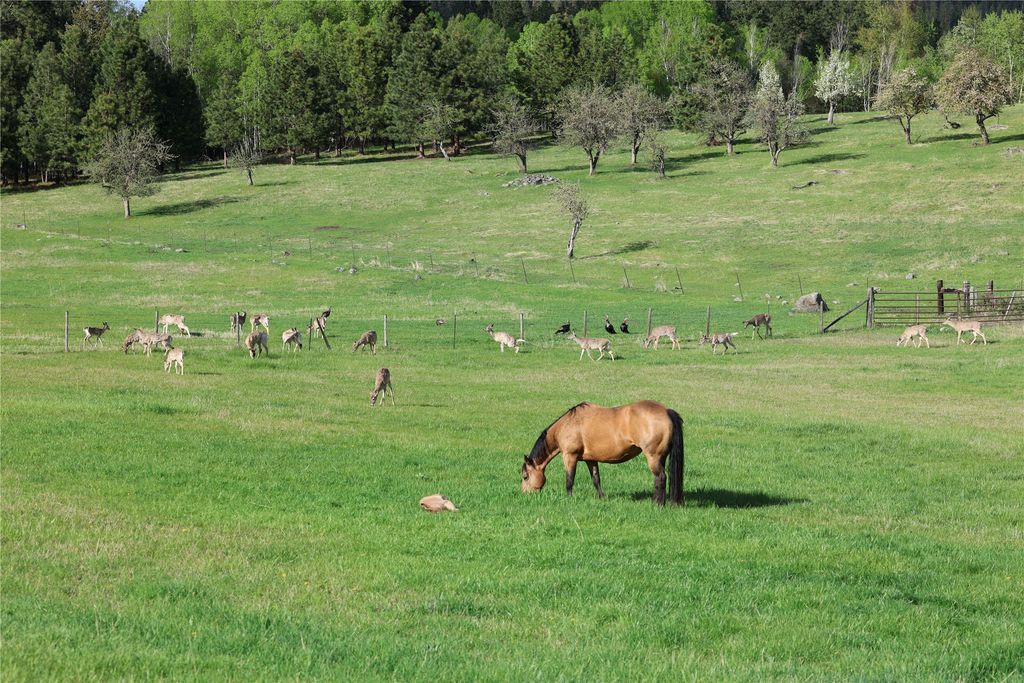 41694 Canal Road, Ronan, MT 59864 photo 16