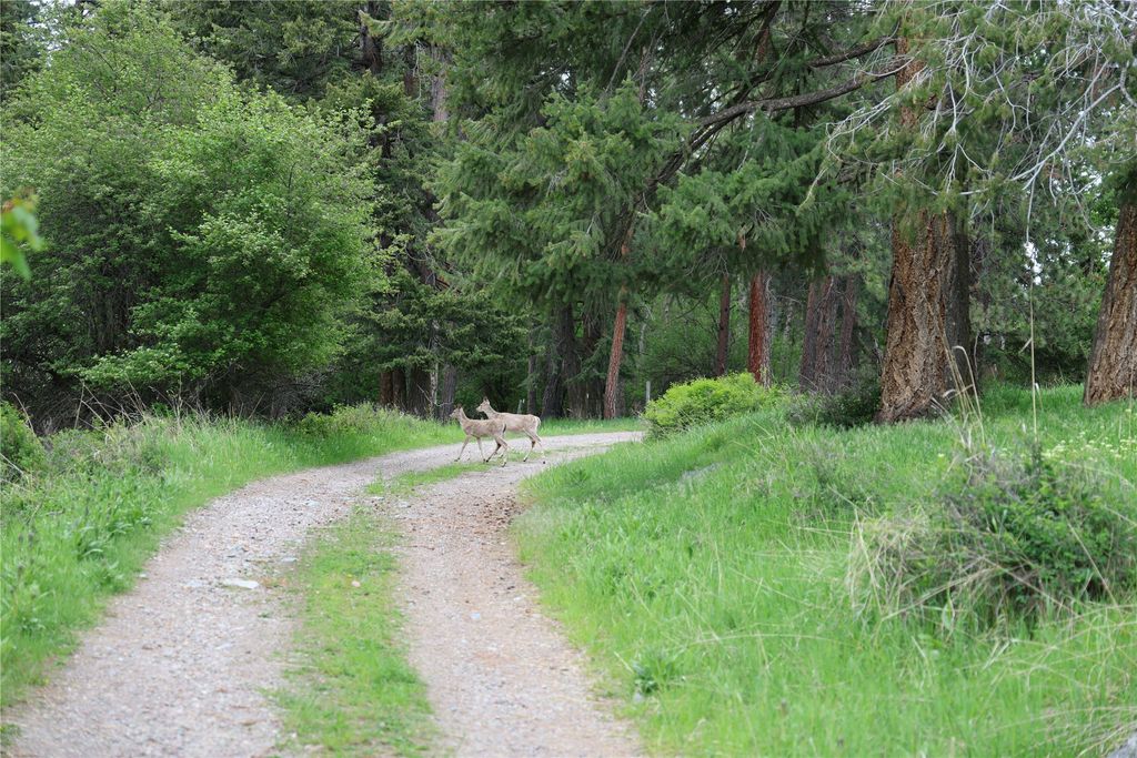 41694 Canal Road, Ronan, MT 59864 photo 19