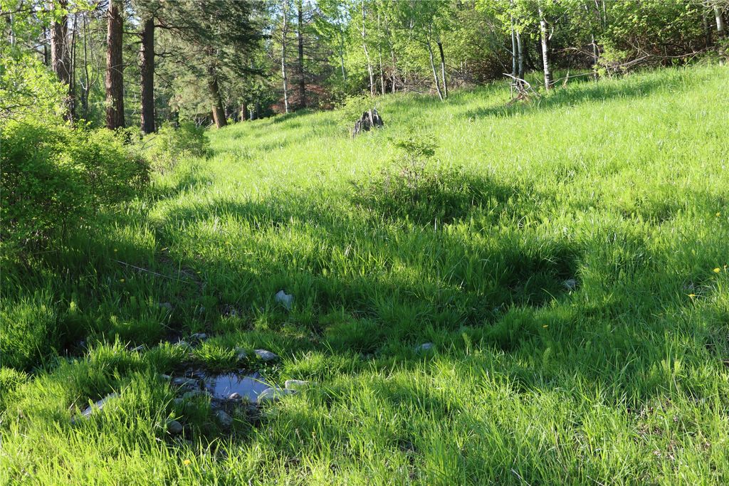 41694 Canal Road, Ronan, MT 59864 photo 22