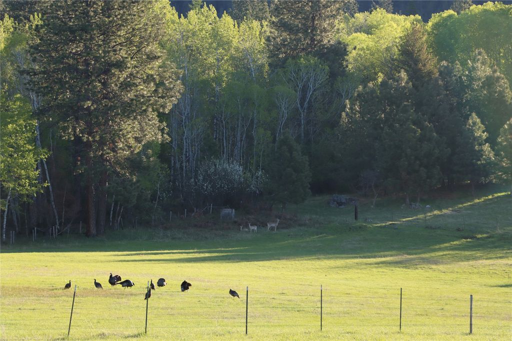 41694 Canal Road, Ronan, MT 59864 photo 27
