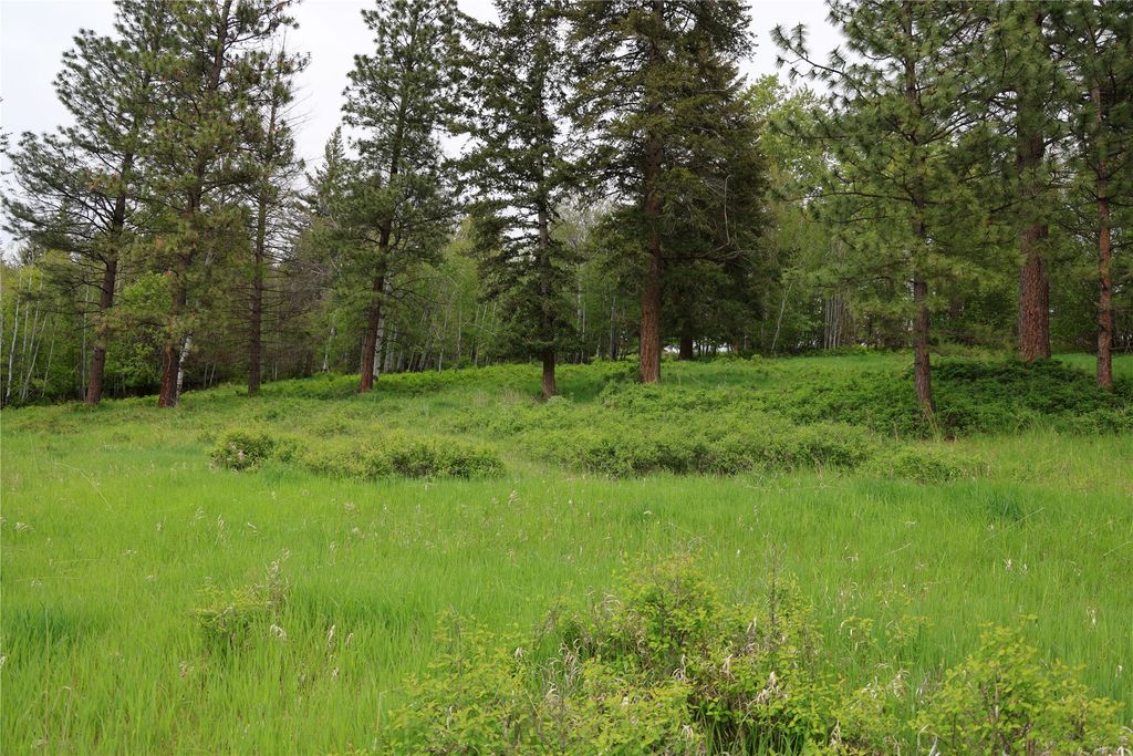 41694 Canal Road, Ronan, MT 59864 photo 38