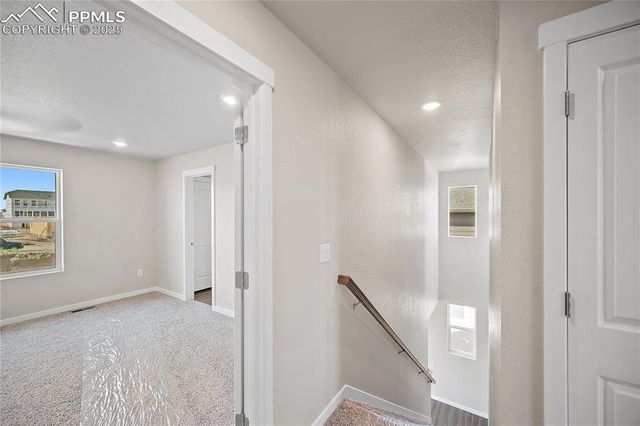 11833 Lost Peak Lane, Colorado Springs, CO 80925