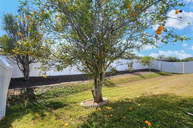 412 EMERALD COVE LOOP, Lakeland, FL 33813