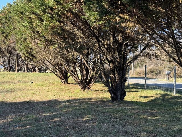 10795 Back Piney Rd, Bon Aqua, TN 37025