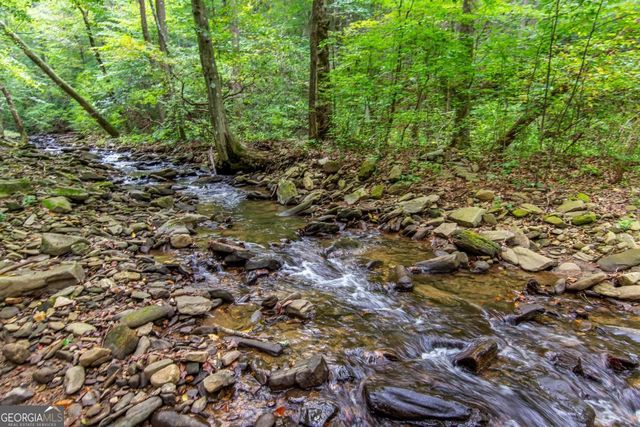 LT 296 Andes Ridge, Ellijay, GA 30536