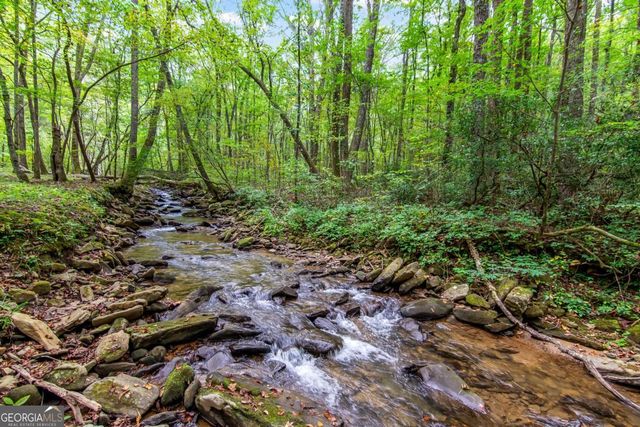 LT 296 Andes Ridge, Ellijay, GA 30536