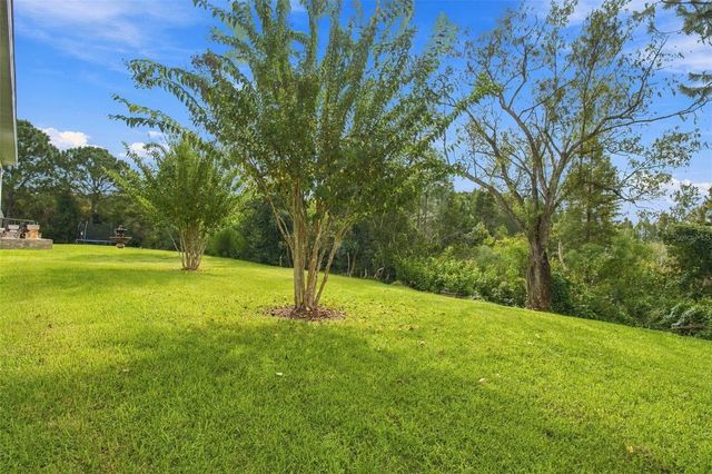 30444 PECAN VALLEY LOOP, Wesley Chapel, FL 33543
