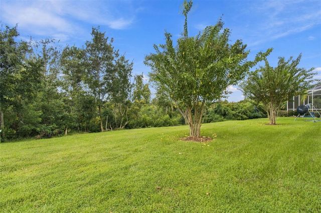 30444 PECAN VALLEY LOOP, Wesley Chapel, FL 33543