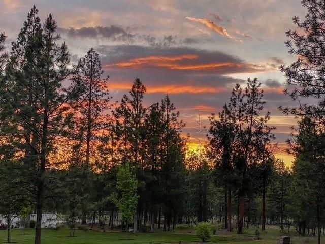 16905 N Mockingbird Ct, Nine Mile Falls, WA 99026