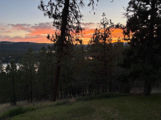 16905 N Mockingbird Ct, Nine Mile Falls, WA 99026