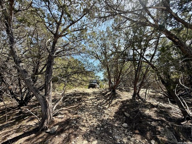 3320 PRIVILEGE CREEK, Pipe Creek, TX 78063