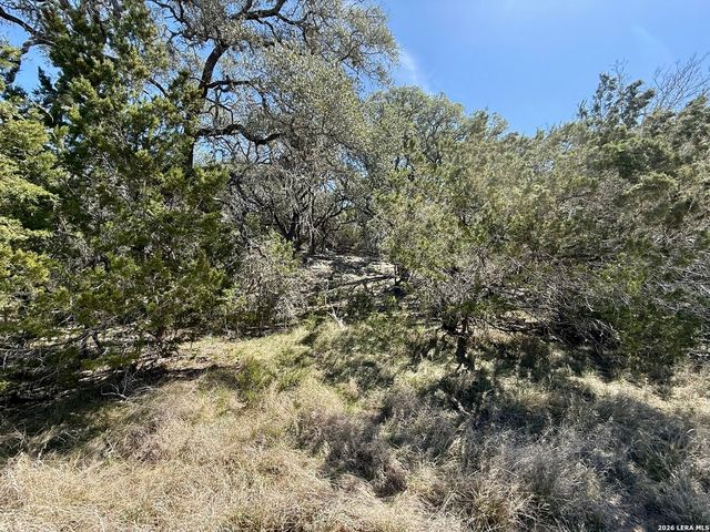 3320 PRIVILEGE CREEK, Pipe Creek, TX 78063