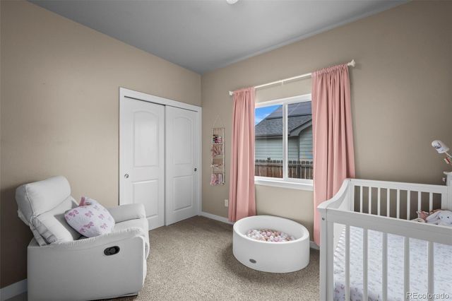 1323 S Harvester Drive, Milliken, CO 80543