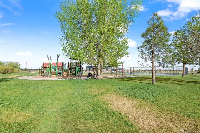1323 S Harvester Drive, Milliken, CO 80543