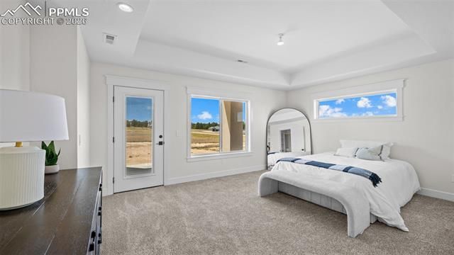 11619 Rambling Road, Colorado Springs, CO 80908