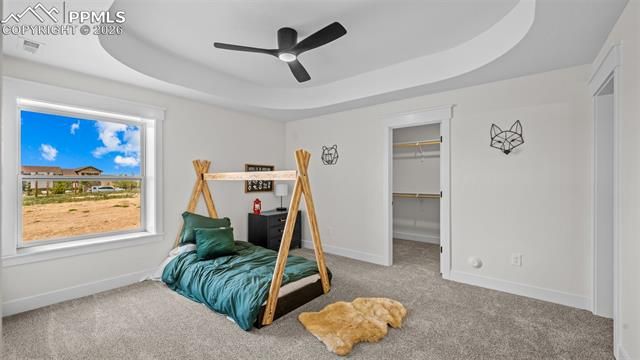 11619 Rambling Road, Colorado Springs, CO 80908