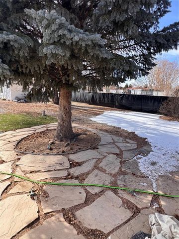 2406 Park Avenue, Alamosa, CO 81101