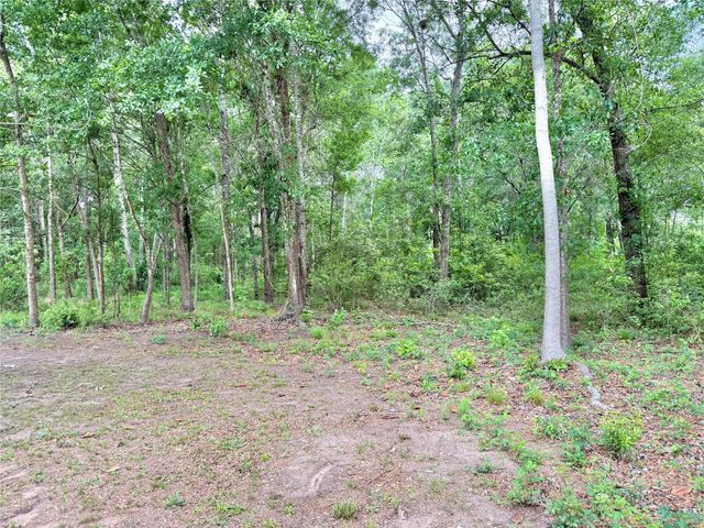 1184 County Road 2298, Cleveland, TX 77327