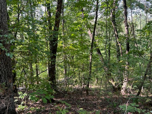 89 Sunrise Avenue, Holiday Island, AR 72631