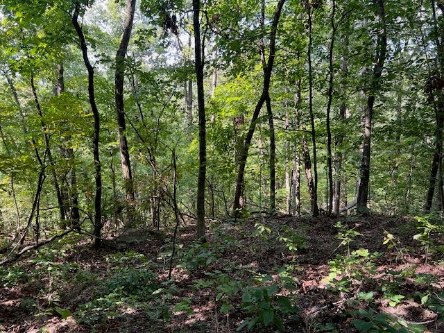 89 Sunrise Avenue, Holiday Island, AR 72631