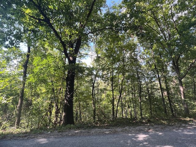89 Sunrise Avenue, Holiday Island, AR 72631