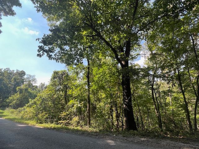 89 Sunrise Avenue, Holiday Island, AR 72631