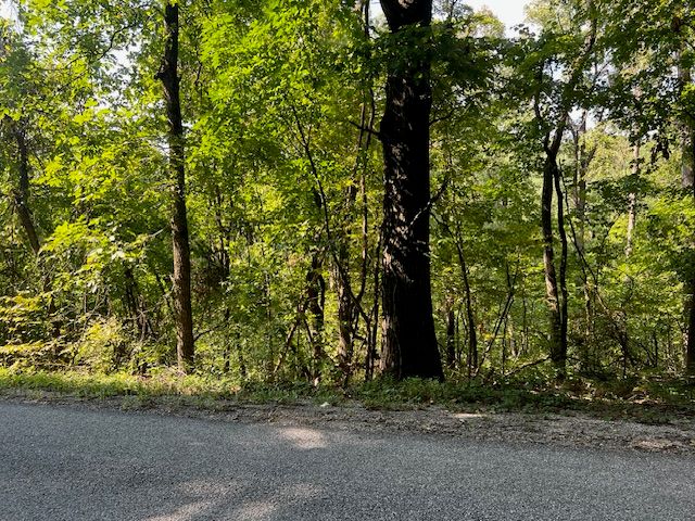 89 Sunrise Avenue, Holiday Island, AR 72631