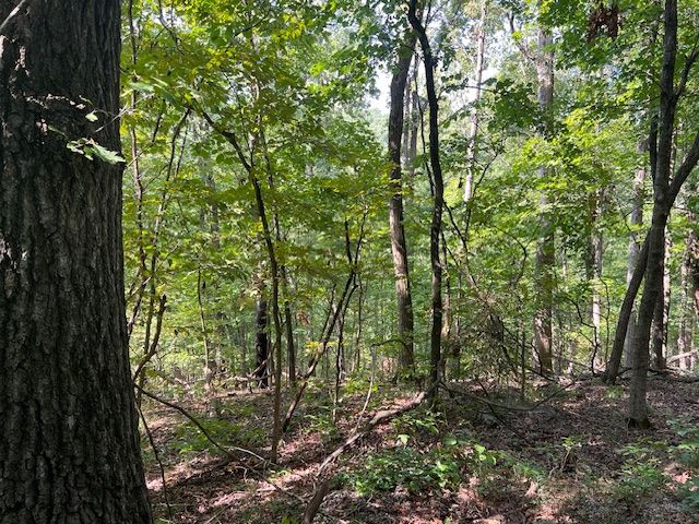 89 Sunrise Avenue, Holiday Island, AR 72631