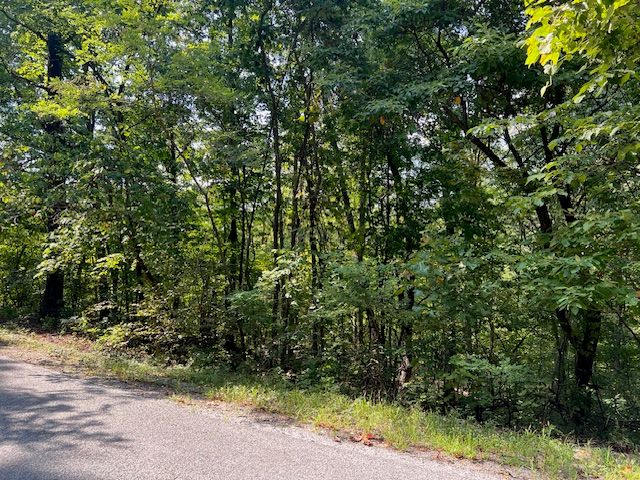89 Sunrise Avenue, Holiday Island, AR 72631