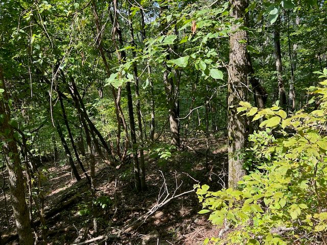 89 Sunrise Avenue, Holiday Island, AR 72631