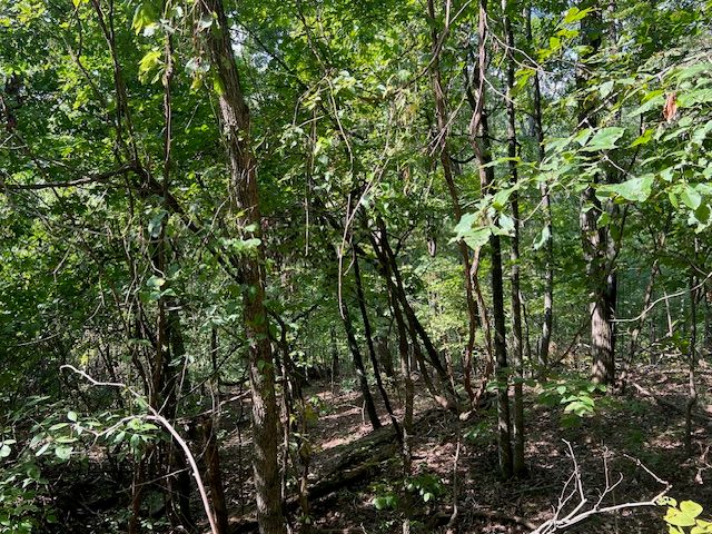 89 Sunrise Avenue, Holiday Island, AR 72631