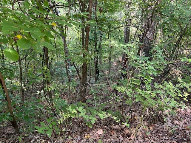 89 Sunrise Avenue, Holiday Island, AR 72631