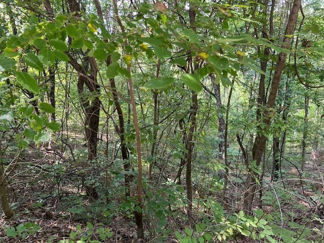 89 Sunrise Avenue, Holiday Island, AR 72631