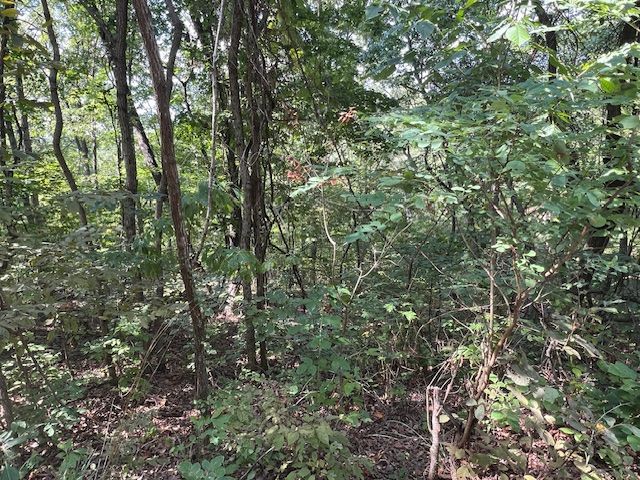 89 Sunrise Avenue, Holiday Island, AR 72631