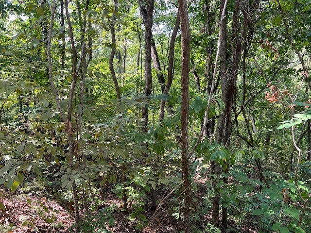 89 Sunrise Avenue, Holiday Island, AR 72631