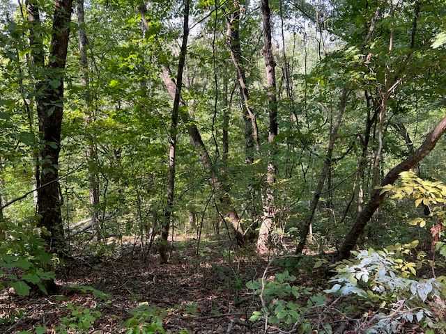89 Sunrise Avenue, Holiday Island, AR 72631