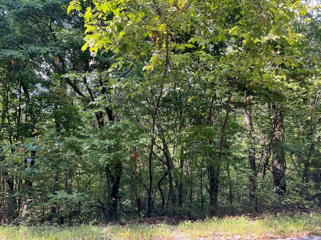 89 Sunrise Avenue, Holiday Island, AR 72631