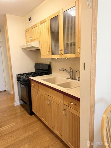 123 S Adelaide Avenue S 2D, Highland Park, NJ 08904