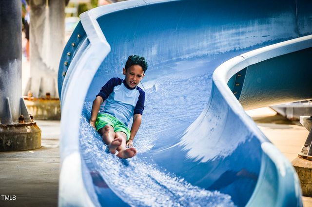 812 Willow Tower Court, Rolesville, NC 27571