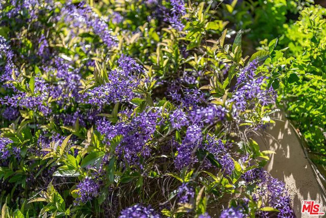 111 S Van Ness Avenue, Los Angeles, CA 90004