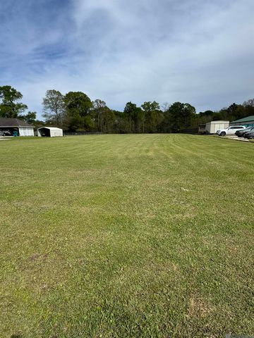 31316 N Corbin Rd, Walker, LA 70785