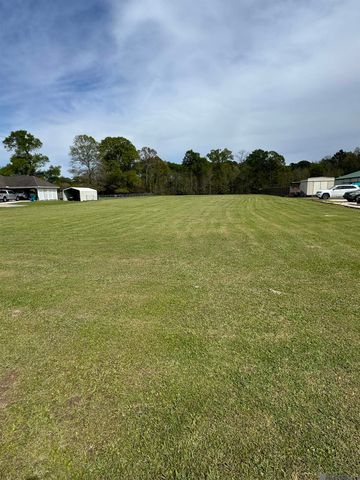 31316 N Corbin Rd, Walker, LA 70785