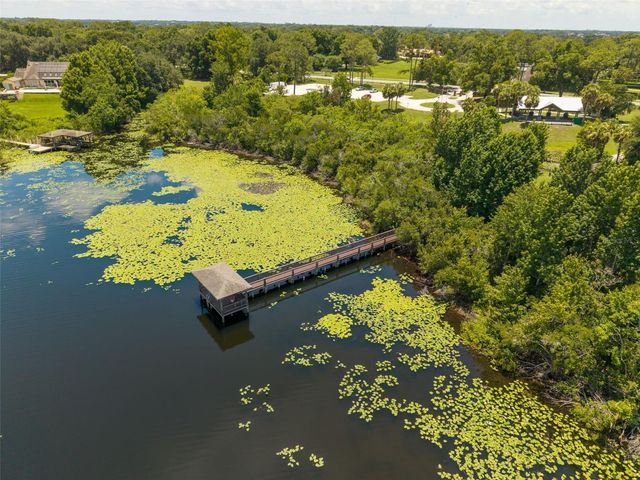2512 TRYON PLACE, Windermere, FL 34786