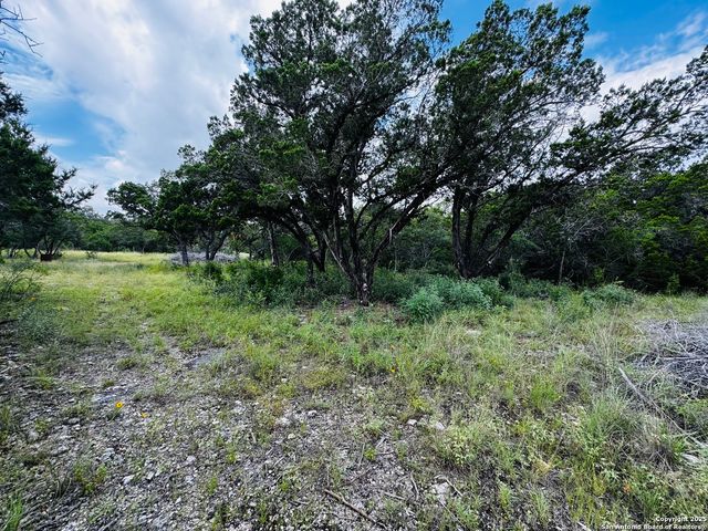 317 Cr RD 273, Mico, TX 78056