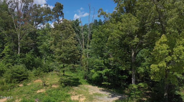 12ac Tbd Max Jett Road, Johnson City, TN 37601